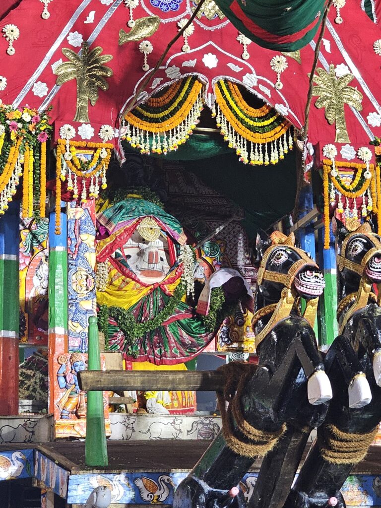 जगन्नाथ रथ यात्रा 2026 पुरी — रथ दर्शन