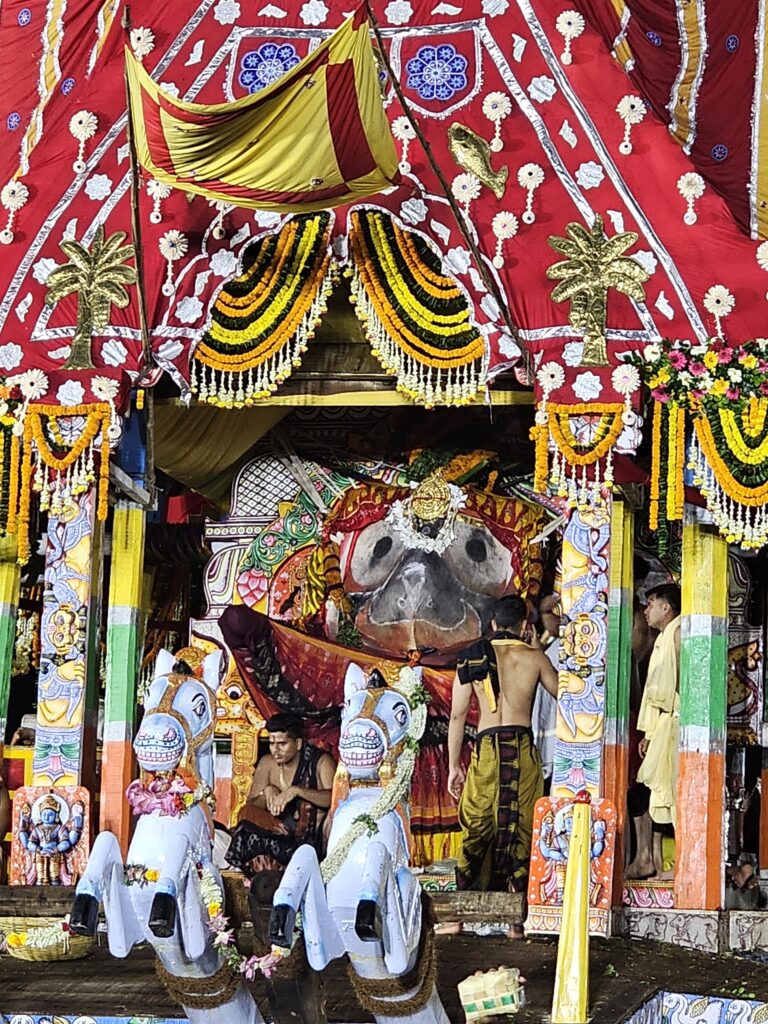 जगन्नाथ रथ यात्रा 2026 पुरी — रथ दर्शन
