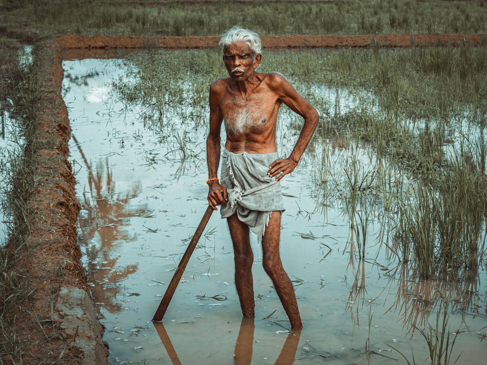 Buzurg kisan khet mein mehnat karte hue — Bhagyank 8 ki dhairya aur parishram ki pratibaddhata ka pratik