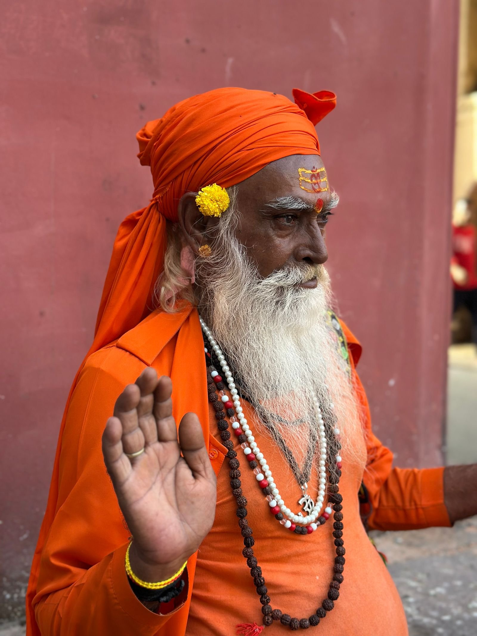 हस्त-रेखा विज्ञान का परिचय एवं इतिहास - साधु आशीर्वाद मुद्रा
