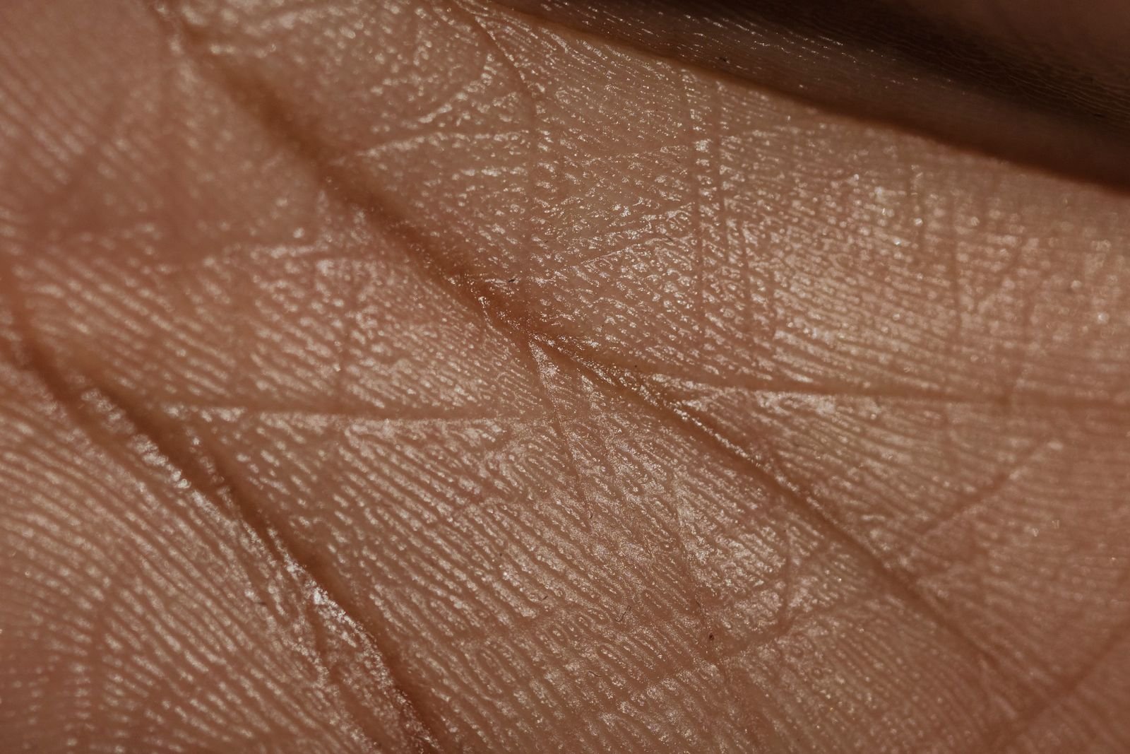मणिबन्ध रेखाएँ — हस्त-रेखा विज्ञान
