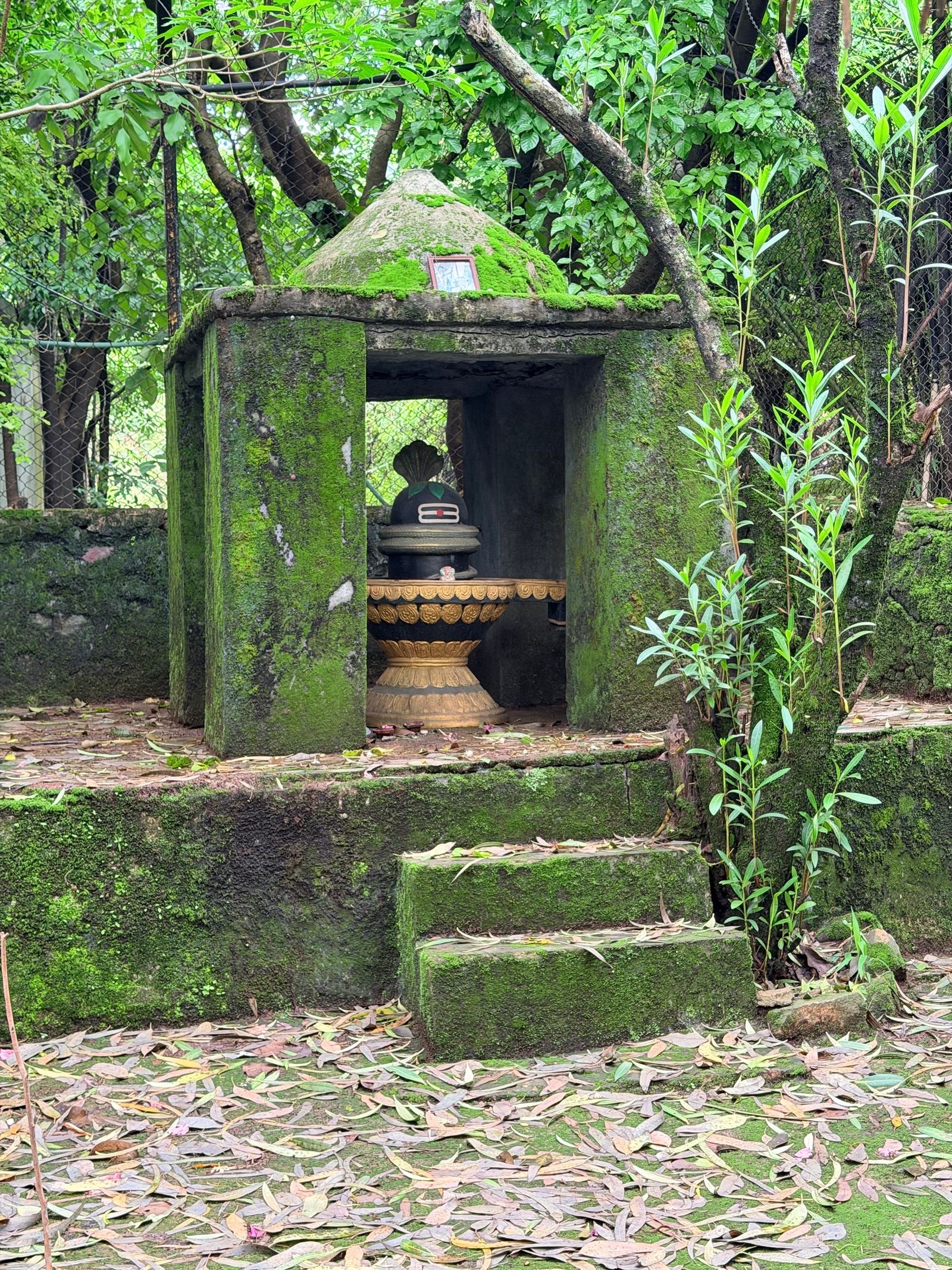 लाल किताब का इतिहास और पंडित रूप चंद जोशी
