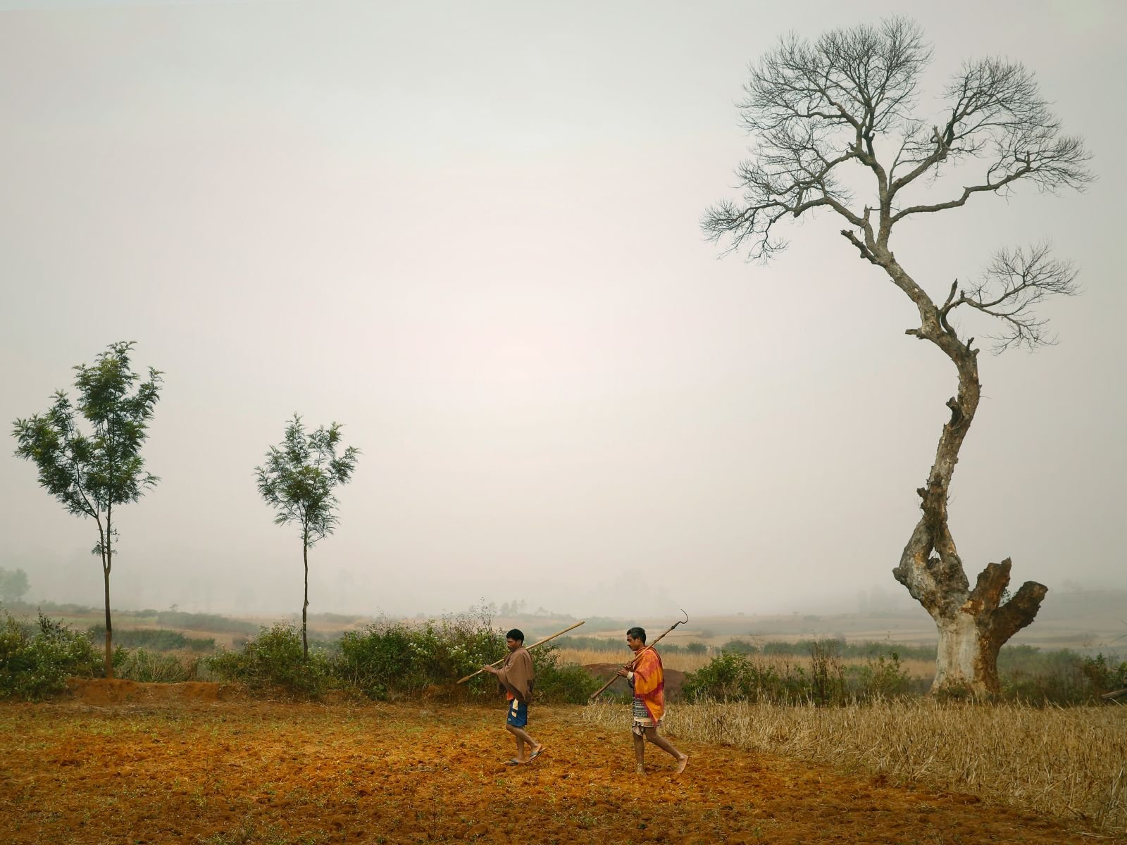 पर्सनल ईयर नंबर अंक ज्योतिष गाइड