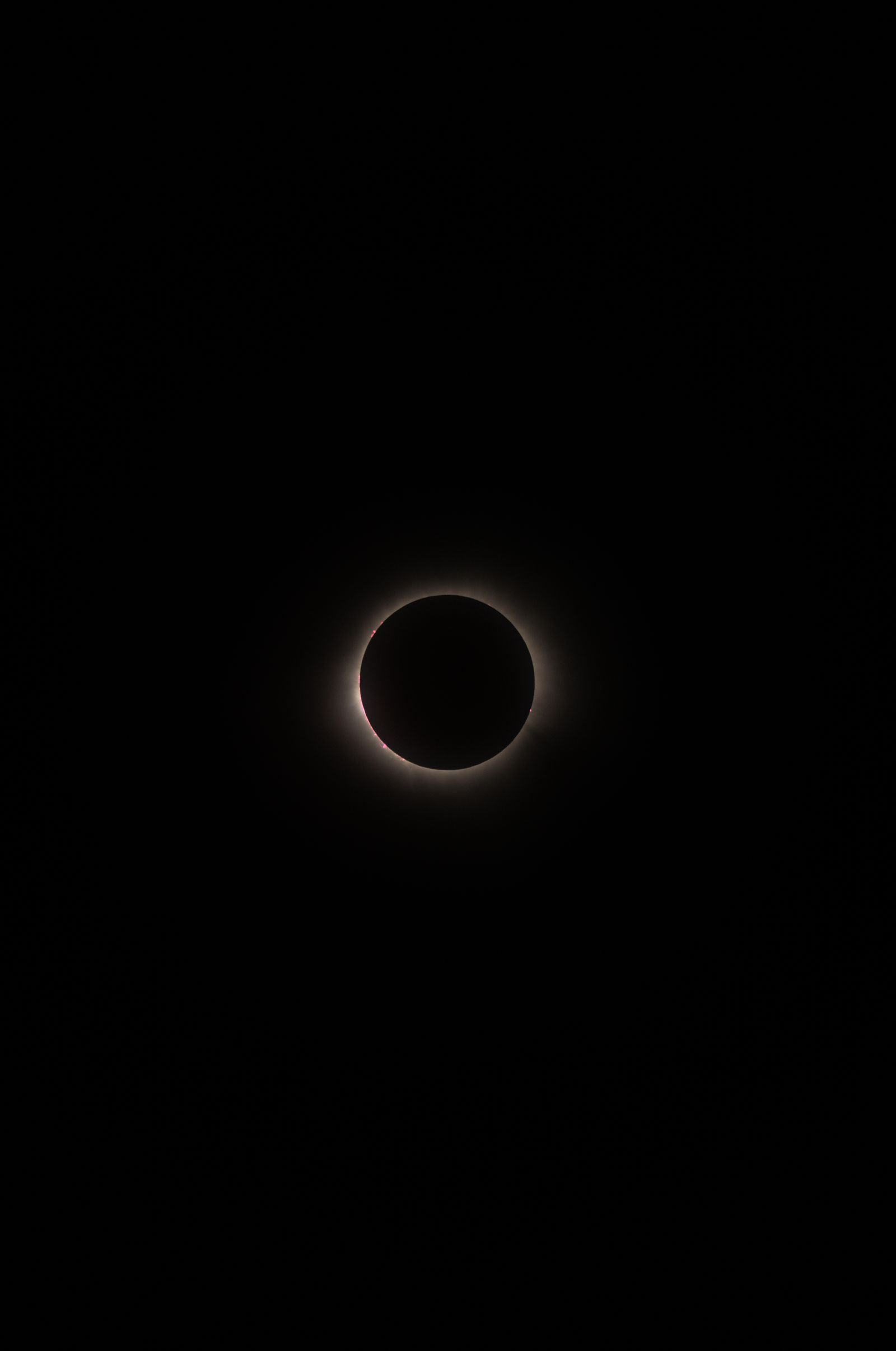 Rahu Ketu 12 Bhavo mein - surya grahan corona