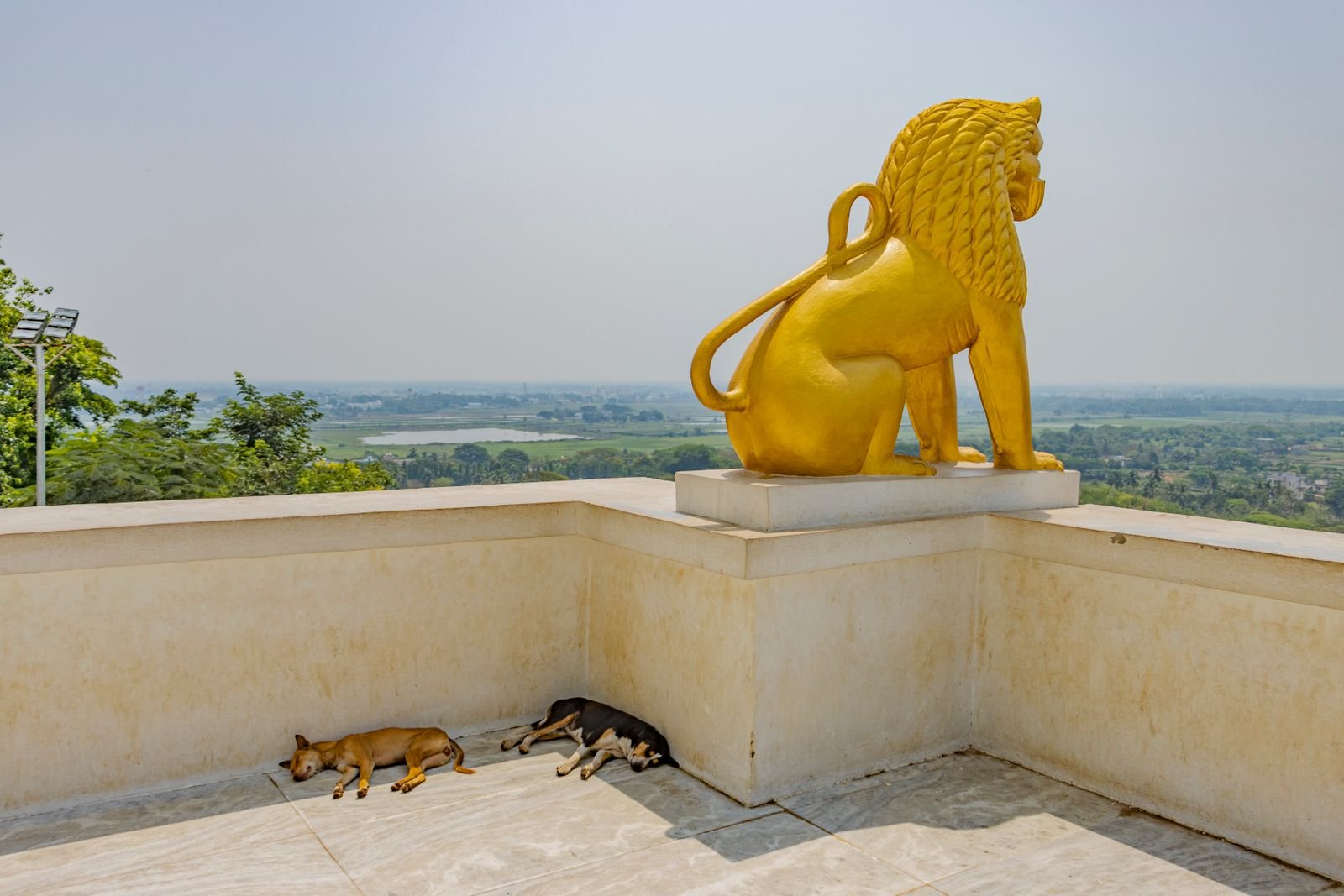 Simha Rashi Rashifal August 2026 - sunahra sher murti Dhauli Shanti Stupa Bhubaneswar