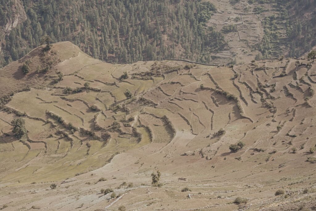 पहाड़ी ढलानों पर सीढ़ीदार खेत - भूमि ढलान का महत्व