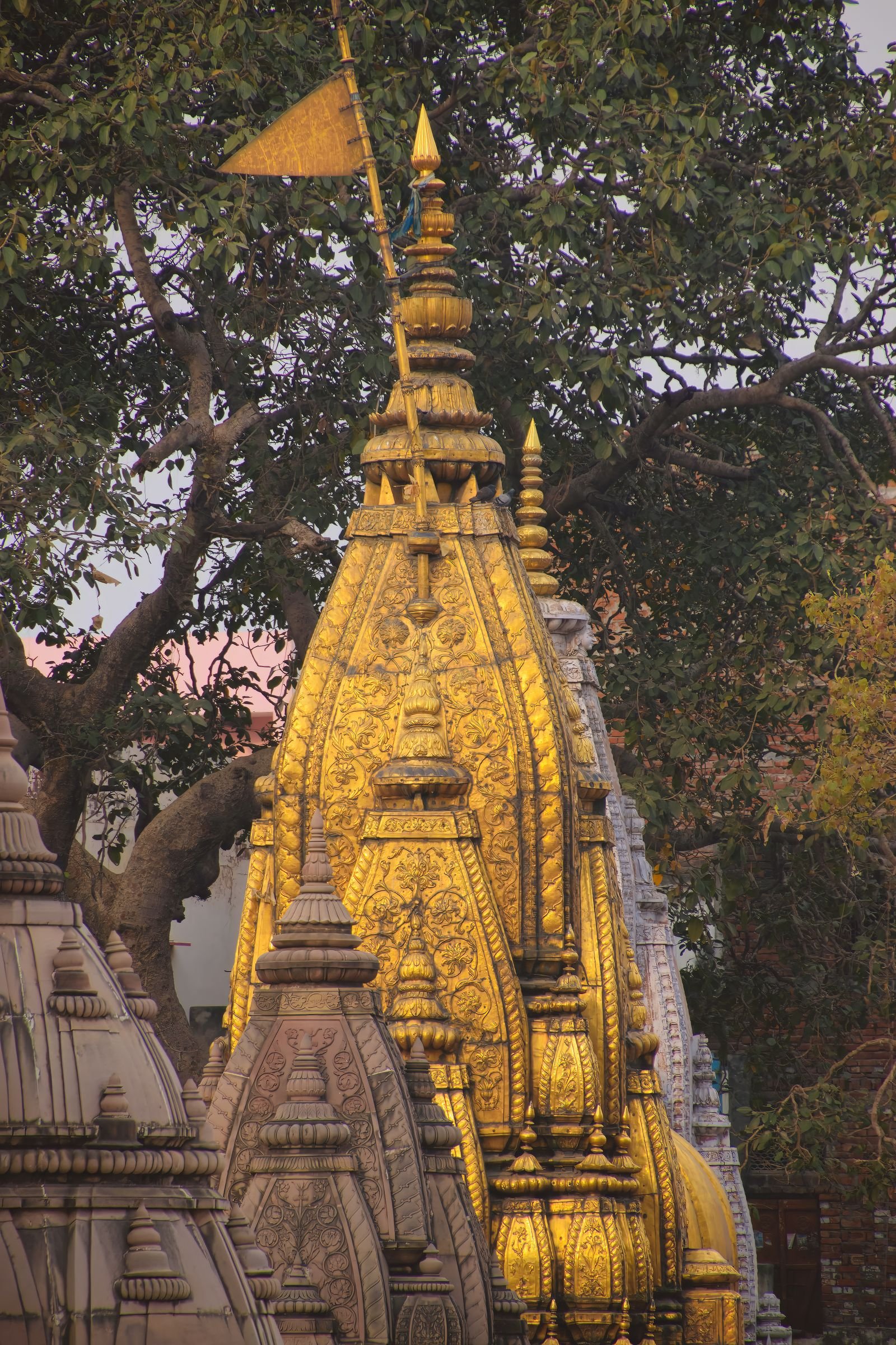 Kashi Vishwanath mandir ka swarna shikhar, Varanasi