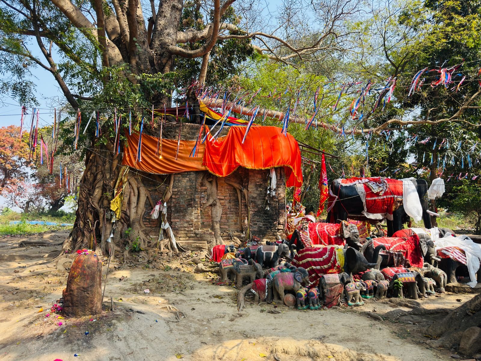 पवित्र वृक्ष के नीचे पूजा स्थल, नक्षत्र वृक्ष परंपरा का प्रतीक