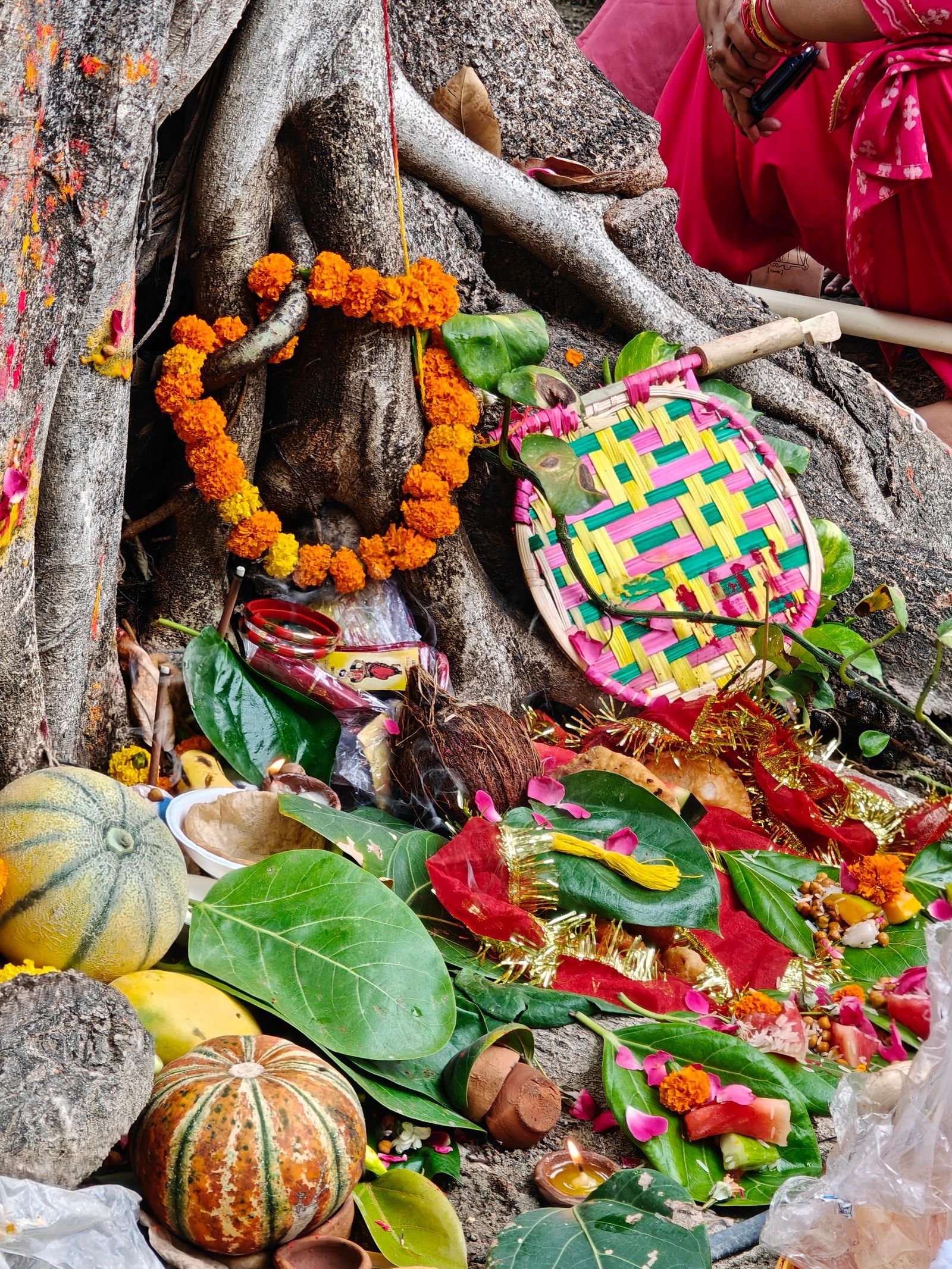 भारत में पवित्र वृक्ष की पूजा, नवग्रह समिधा परंपरा का प्रतीक